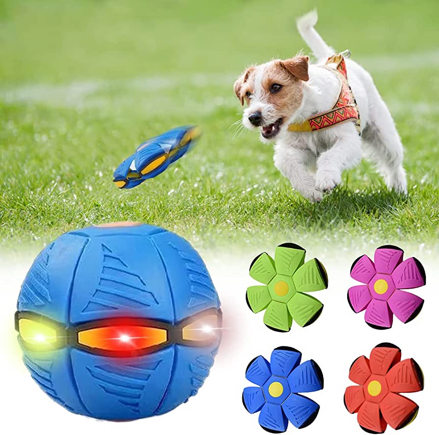 Alan’s™ Dog Frisbee