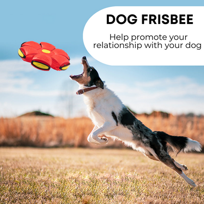 Alan’s™ Dog Frisbee