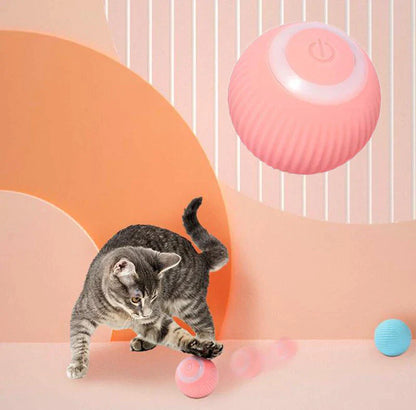Alan’s Interactive Ball