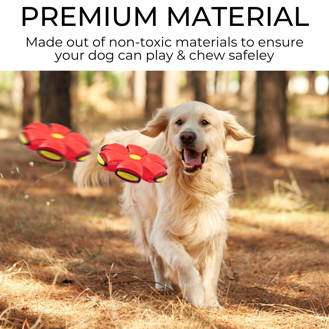 Alan’s™ Dog Frisbee